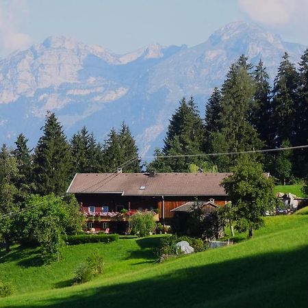 Apart Ponholz Hart im Zillertal Ngoại thất bức ảnh